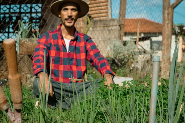 Agricultor Preto Lado Pequena Horta Modesta Dia Ensolarado Agricultor Com — Fotografia de Stock