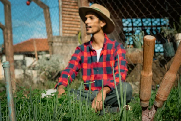 Black farmer beside small modest vegetable garden on sunny day. Farmer With Hat on farm.