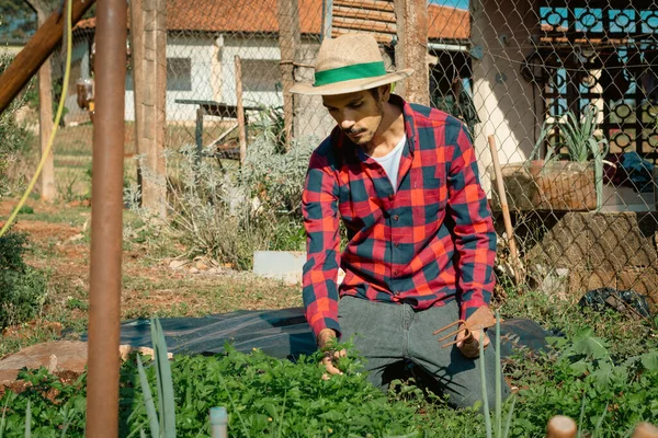 Black farmer beside small modest vegetable garden on sunny day. Farmer With Hat on farm.