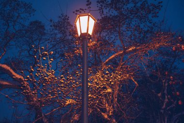 Kış akşamında sokak lambasının yakın görüntüsü