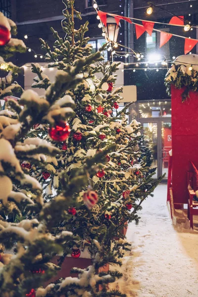 stock image close view of decorated outdoor potted christmas trees and festive place at winter evening