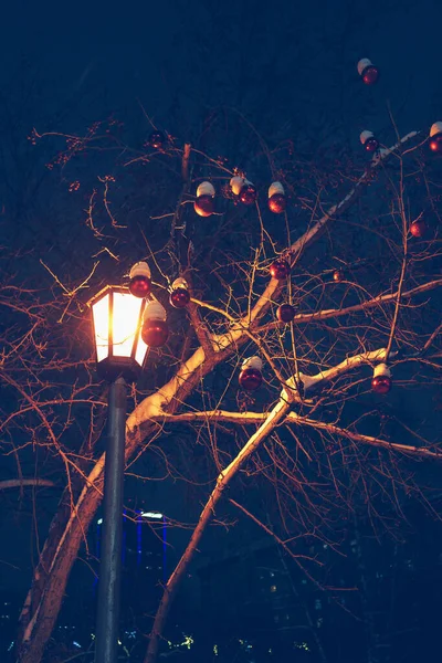 Lampadaire Avec Décoré Pour Les Vacances Hiver Arbres Nuit Heure — Photo