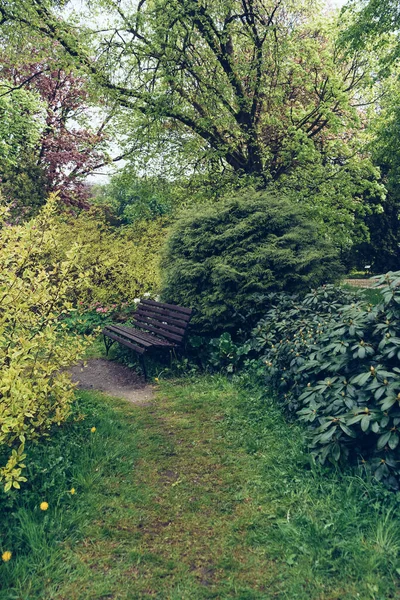 Bench Springtime Park Green Trees Bushes Gloomy Day — Foto de Stock