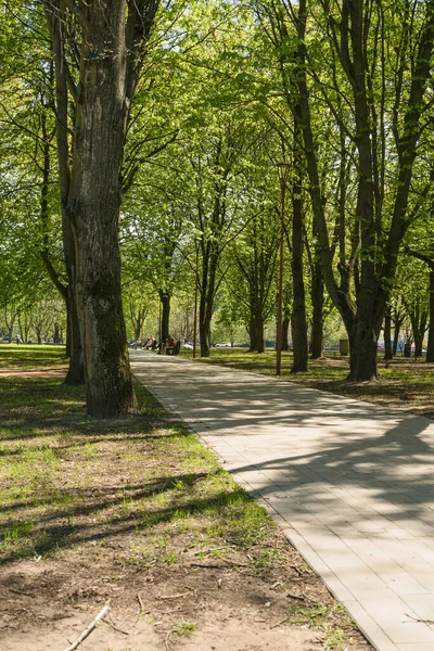 Kaliningrad, Russia - May 10, 2021: sitting and relaxing on benches people at  Kants island park