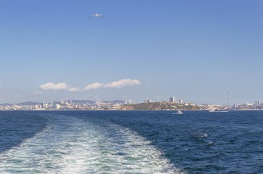 Güneşli bir günde Vladivostok şehrinde tekneler ve deniz manzarası martılardan sonra uçuyor.