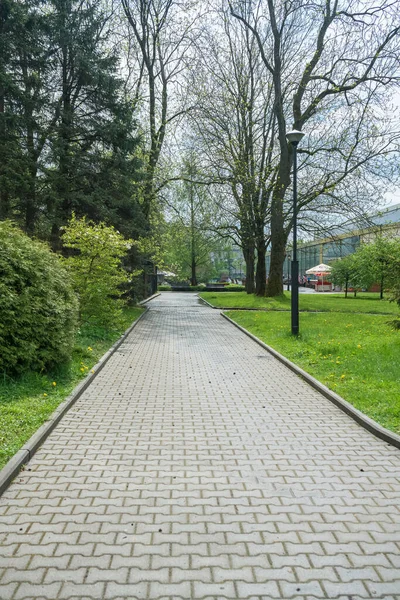 Kaliningrado Rússia Maio 2021 Paisagem Primavera Dentro Zoológico — Fotografia de Stock