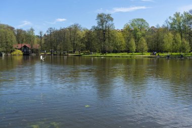 Zelenogradsk, Rusya - 11 Mayıs 2021: Güneşli bahar gününde şehir parkında insanları rahatlatan bir gölet