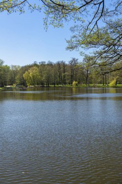 Zelenogradsk, Rusya - 11 Mayıs 2021: Şehir parkı ve gölet manzarası