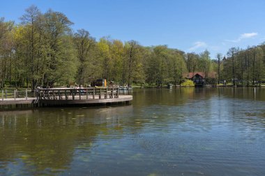 Zelenogradsk, Rusya - 11 Mayıs 2021: Güneşli bahar gününde insanların banklarda dalgalandığı ahşap iskele