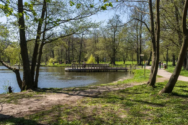2021年5月11日 俄罗斯泽列诺格拉德斯克 公园池塘中木制码头的阳光明媚的日景 — 图库照片