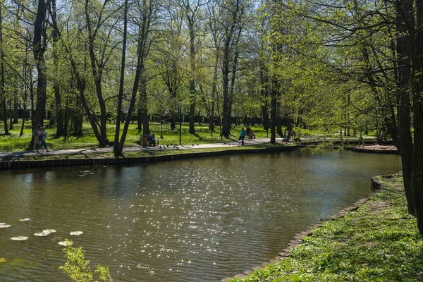 Zelenogradsk Russia May 2021 View Pond Shining Sunlight Warm Spring — Stock Photo, Image