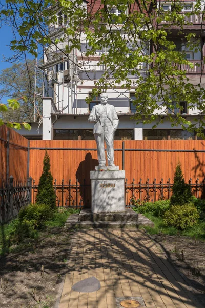 Zelenogradsk Rusia Mayo 2021 Vista Estatua Blanca Lenin Soleado Día —  Fotos de Stock