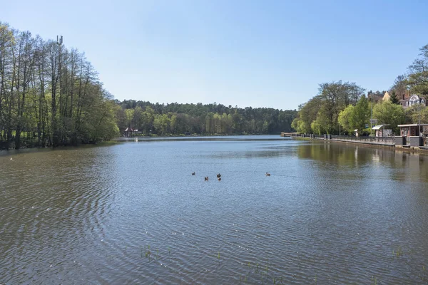 Jezero Tihoe Klidný Pohled Svetlogorsku Slunný Jarní Den — Stock fotografie