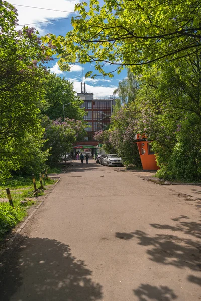 ロシアのカリーニングラード 2021年5月18日 晴れた春の日にロシアのアパートの典型的な中庭 — ストック写真