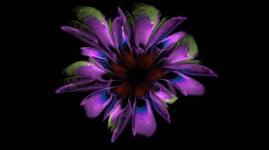 Güzel dijital renk çiçekleri, siyah arka planda parlayan 3D soyut çiçek yaprakları. 3d oluşturma