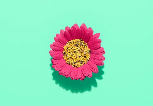 Begreppet Bipollinering Med Pollenkorn Mitt Rosa Blomma Blomma Med Pollen — Stockfoto