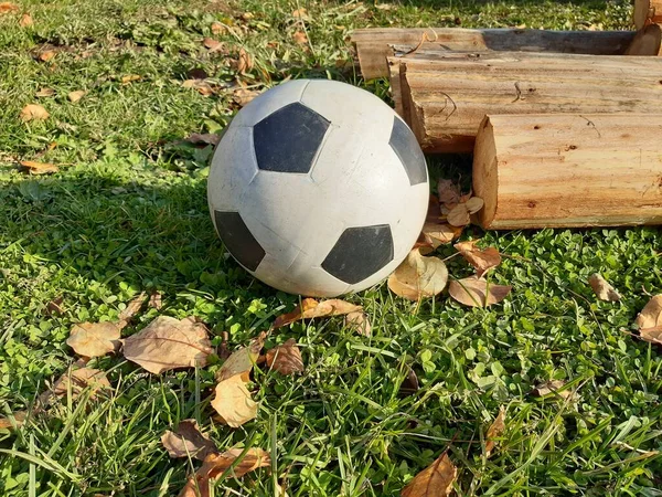 Sonbaharda ahşap odunların yanında sarı yapraklı yeşil çimlerde futbol topu.