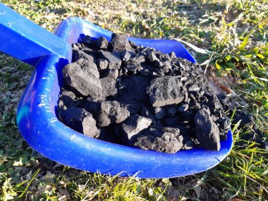 Sonbahar çimlerinde solda mavi plastik bir kürekte kömür.