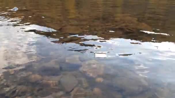 Χαρτοσακούλα Επιπλέει Στο Ποτάμι Φθινόπωρο — Αρχείο Βίντεο