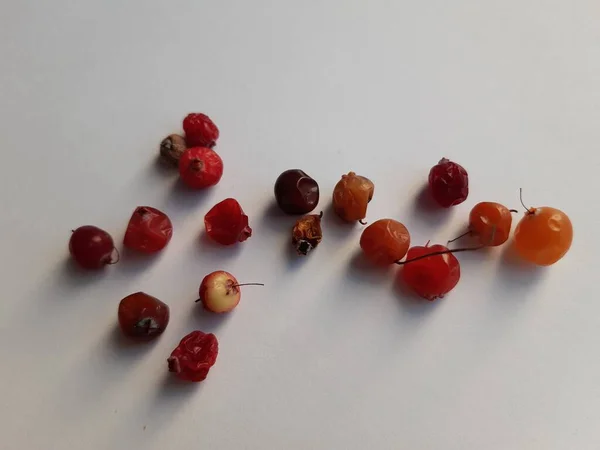 Verdorbene Rote Braune Preiselbeeren Auf Weißem Hintergrund — Stockfoto