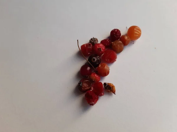 Beyaz arka planda kurumuş, şımarık kızılcıklar.