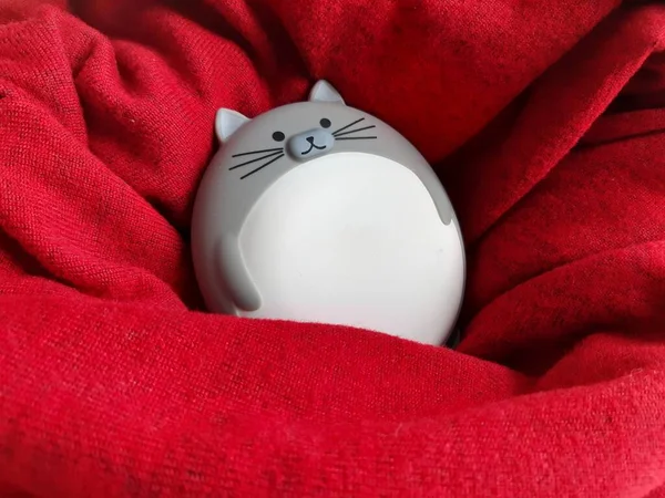 El ısıtıcı gri-beyaz kedi kırmızı yün bir atkıda yatıyor.