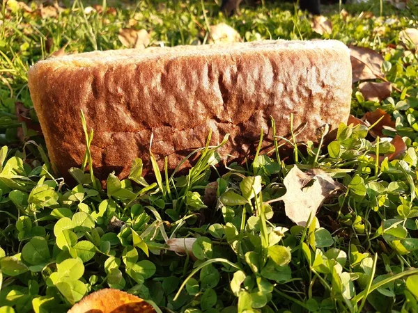 Sonbahar çimlerinde sarı yapraklı bir somun beyaz ekmek..