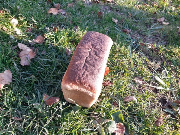Sonbaharda sarı yapraklı bir somun beyaz ekmek. Üst görünüm.