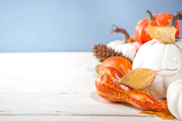 Dia Ação Graças Cartão Geetiing Festivo Halloween Com Abóboras Bagas — Fotografia de Stock