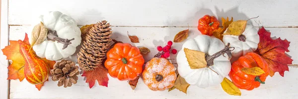 Erntedankfest Halloween Festkarte Mit Kürbissen Dekorativen Beeren Und Herbstblättern Auf — Stockfoto