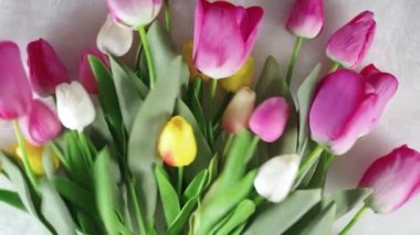 Büyük bir buket bahar tatili lale çiçekleri beyaz kürklü arka plana düşer, yukarıdan yakın çekim videosu