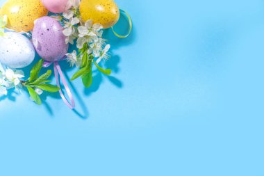 Paskalya Bayramı tebrik kartı arka planında Paskalya renkli yumurtalar, dekoratif kuş yuvaları ve çiçek açan bahar bahçesi çiçekleri, yüksek renkli mavi arka planda düz kopya alanı