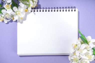 İlkbahar Paskalya arkaplanı, küçük Paskalya yumurtaları süslemesi, menekşe renginde bahar çiçekleri... 