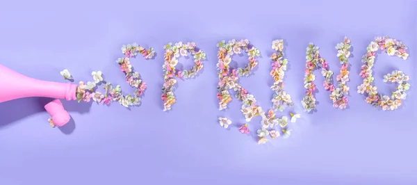 High Colored Spring Blossom Flowers Lettering Spring Bright Violet Very — 图库照片