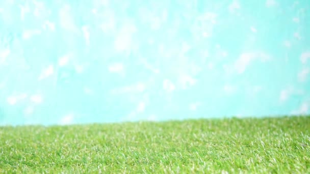 Корзина Пикника Едой Бутылкой Вина Бокалами Фруктами Зеленой Солнечной Газонной — стоковое видео