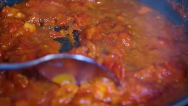 Koken Italiaanse Pastasaus Tomaat Marinara Saus Met Gedroogde Kruiden Gekookt — Stockvideo