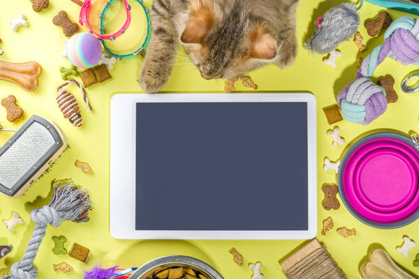 Pet food and accessories, various cat, dog, domestic animals food, toys, treats, utensils. Zoomarket and pet store, online shopping, pet care concept, flatlay banner top view copespace