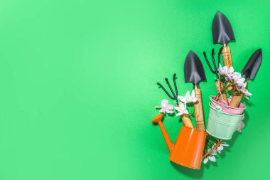 Bahçe aletleri, bitkiler, fidanlıklar, bahçe eldivenleri, bahar çiçekli ağaç dalları, üst görünüm kopya alanı