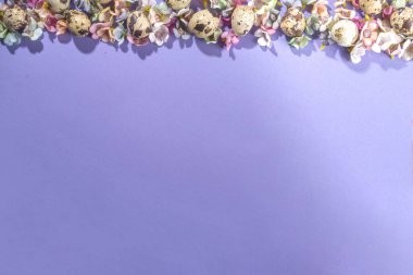 İlkbahar Paskalya arkaplanı, küçük Paskalya yumurtaları süslemesi, menekşe renginde bahar çiçekleri... 