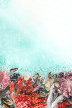 Çeşitli taze çiğ deniz ürünleri seti - ahtapot, yengeç, kalamar, karides, istiridye, midye, somon balığı limon baharatlı ton balığı, açık mavi arka plan, ezilmiş buzlu fotokopi alanı 