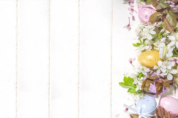 부활절 백지와 부활절 색깔의 둥지와 정원의 나무로 장식된 복제품 — 스톡 사진