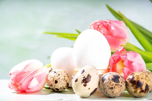 Easter Holiday Background Flowers Eggs — Stock Photo, Image