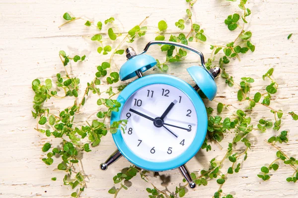 Mudança Horário Primavera Flatlay Conceito Verão Alarme Retro Vintage Relógio — Fotografia de Stock