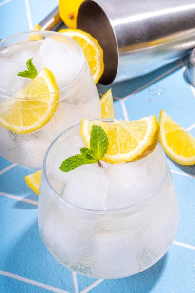 Cold Lemon Detox Water Infused Citrus Sour Sweet Mocktail Lemonade — ストック写真