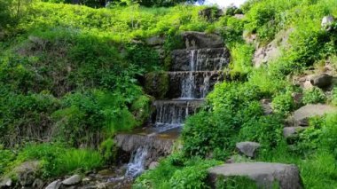 Doğanın rahatlatıcı videosu. Yeşil orman ya da büyük şelaleli doğal park. Ormandaki taşların üzerine dökülen suyun sesiyle doğal şelale.
