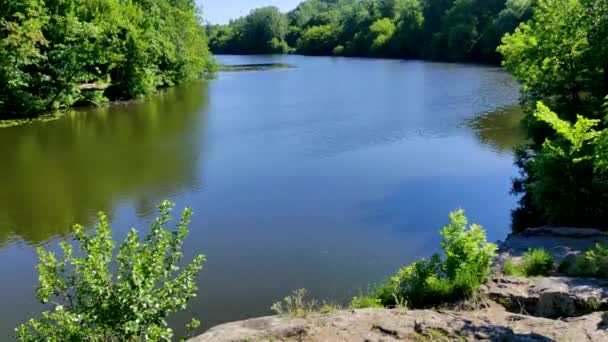 Relajante Video Naturaleza Soleado Verano Primavera Ribera Del Río Con — Vídeos de Stock