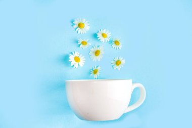 Bir fincan papatya çayı, papatya buketi, mavi ahşap arka plan fotokopi alanı. Bitkisel organik soğuk içecek.