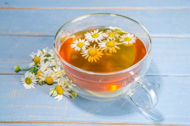 Bir fincan papatya çayı, papatya buketi, mavi ahşap arka plan fotokopi alanı. Bitkisel organik soğuk içecek.