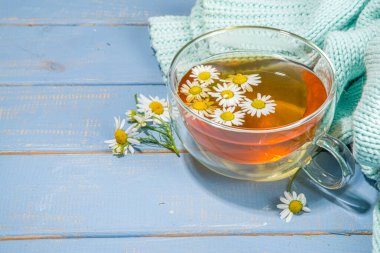 Bir fincan papatya çayı, papatya buketi, mavi ahşap arka plan fotokopi alanı. Bitkisel organik soğuk içecek.
