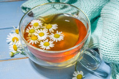 Bir fincan papatya çayı, papatya buketi, mavi ahşap arka plan fotokopi alanı. Bitkisel organik soğuk içecek.